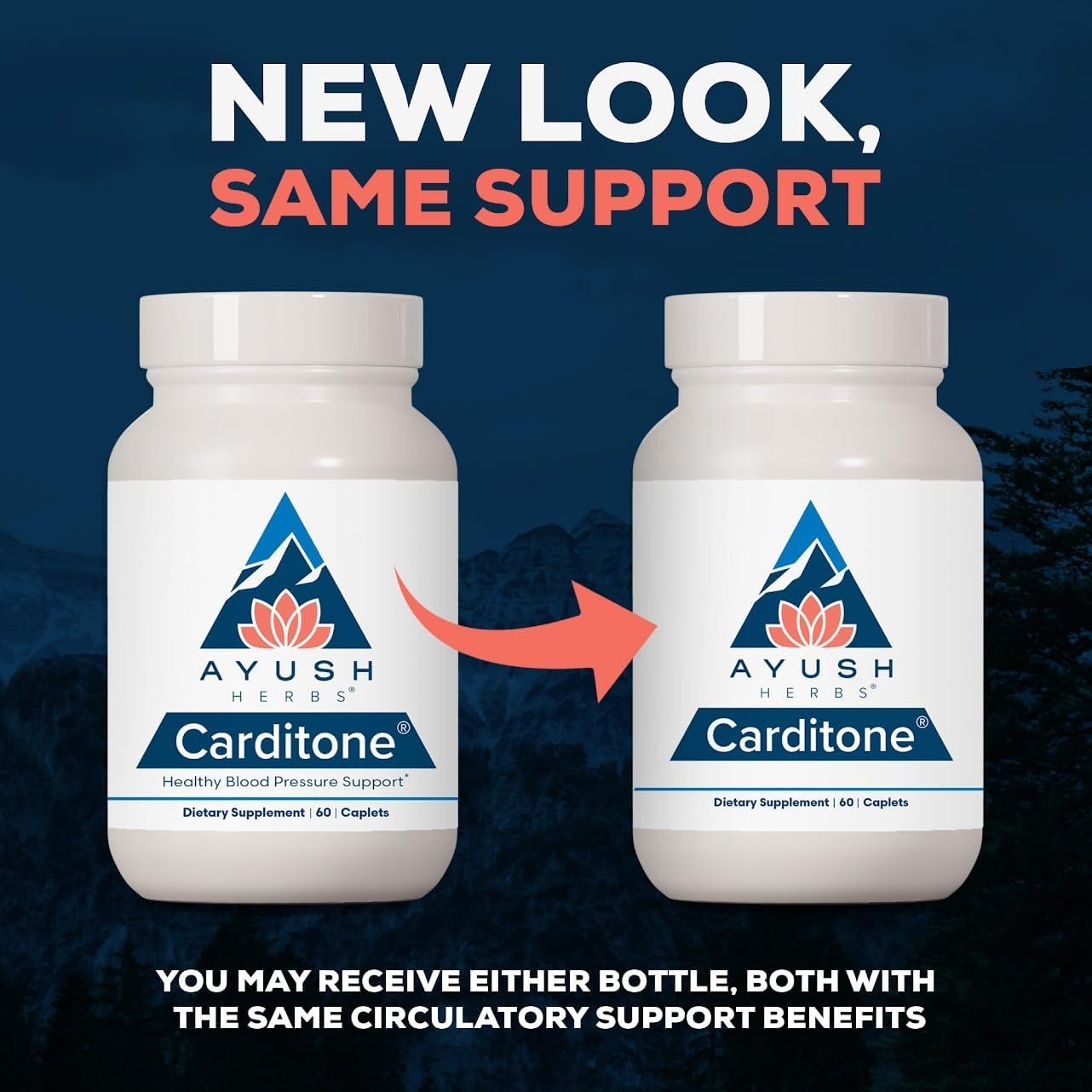Ayush Herbs Carditone - Natural Heart Health Supplement for Women Men, BP Formula, Holistic Heart Support with Rauwolfia, Arjuna, Calcium, and Magnesium - 60 Vegetarian Caplets (1 Count)