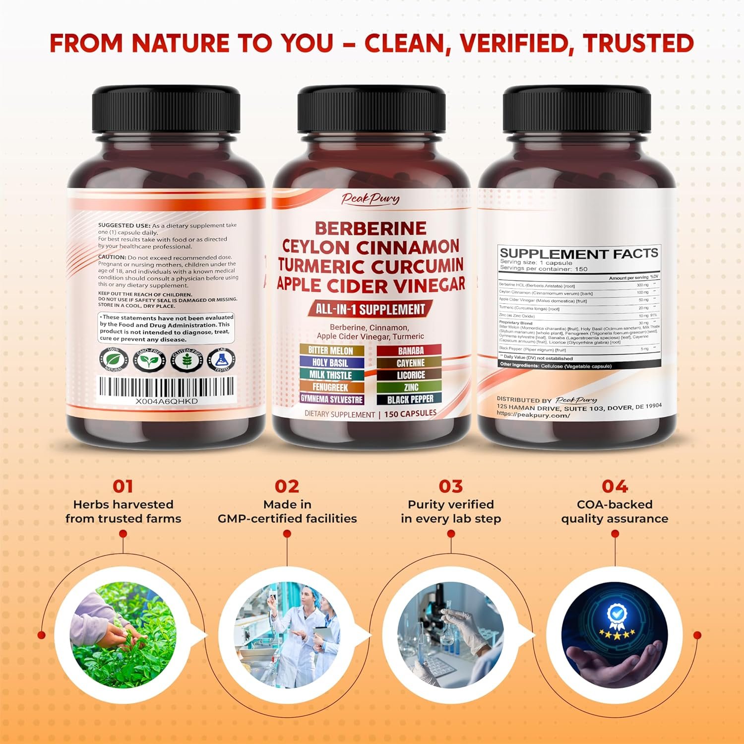 Berberine Cinnamon Apple Cider Vinegar Turmeric - Overall Wellness Support- Made in USA