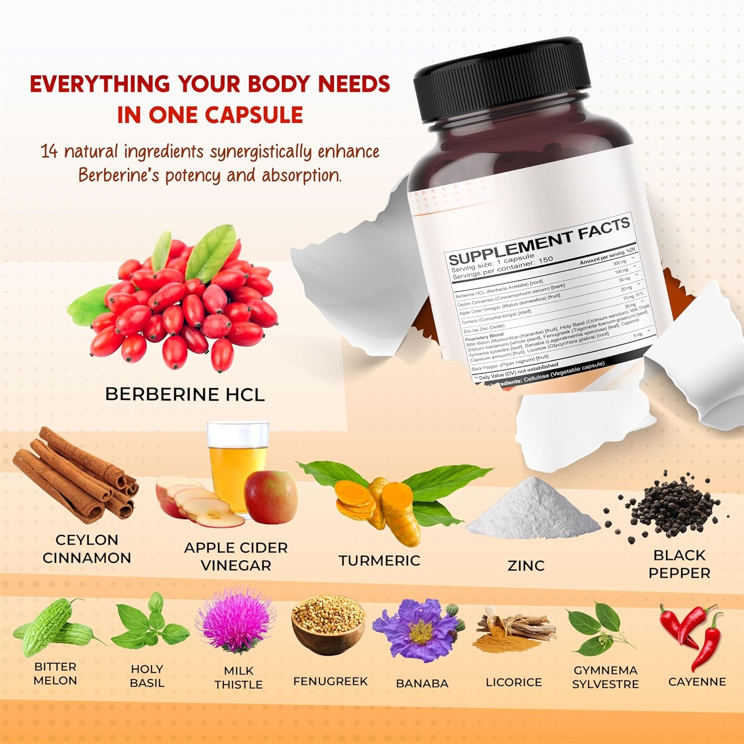 Berberine Cinnamon Apple Cider Vinegar Turmeric - Overall Wellness Support- Made in USA