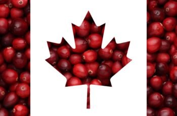 D-Tox Supplement for Dogs Review