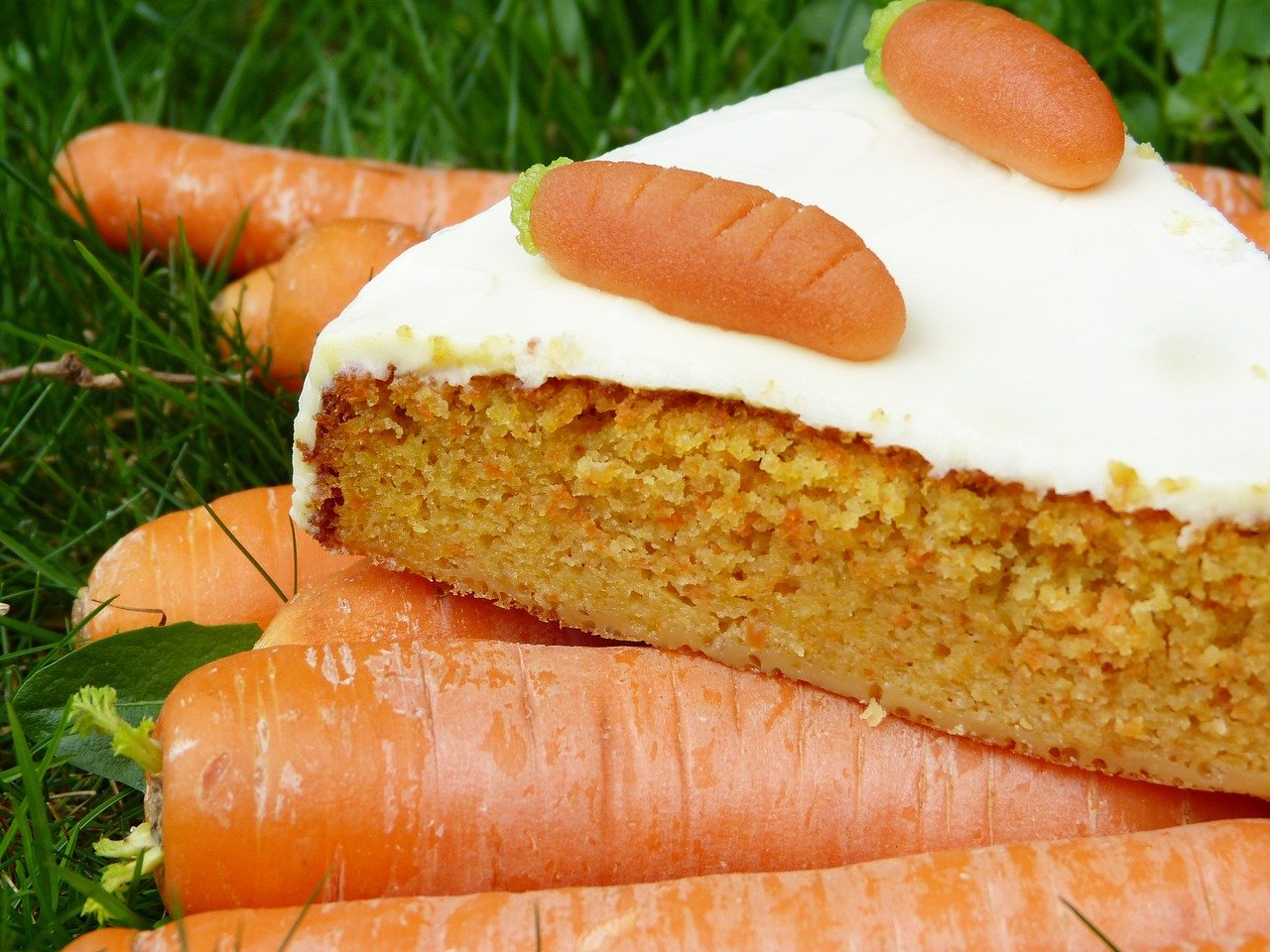 Dairy-free food options for lactose intolerance