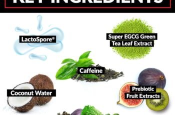 FORCE FACTOR ProbioSlim Weight Loss Essentials Review