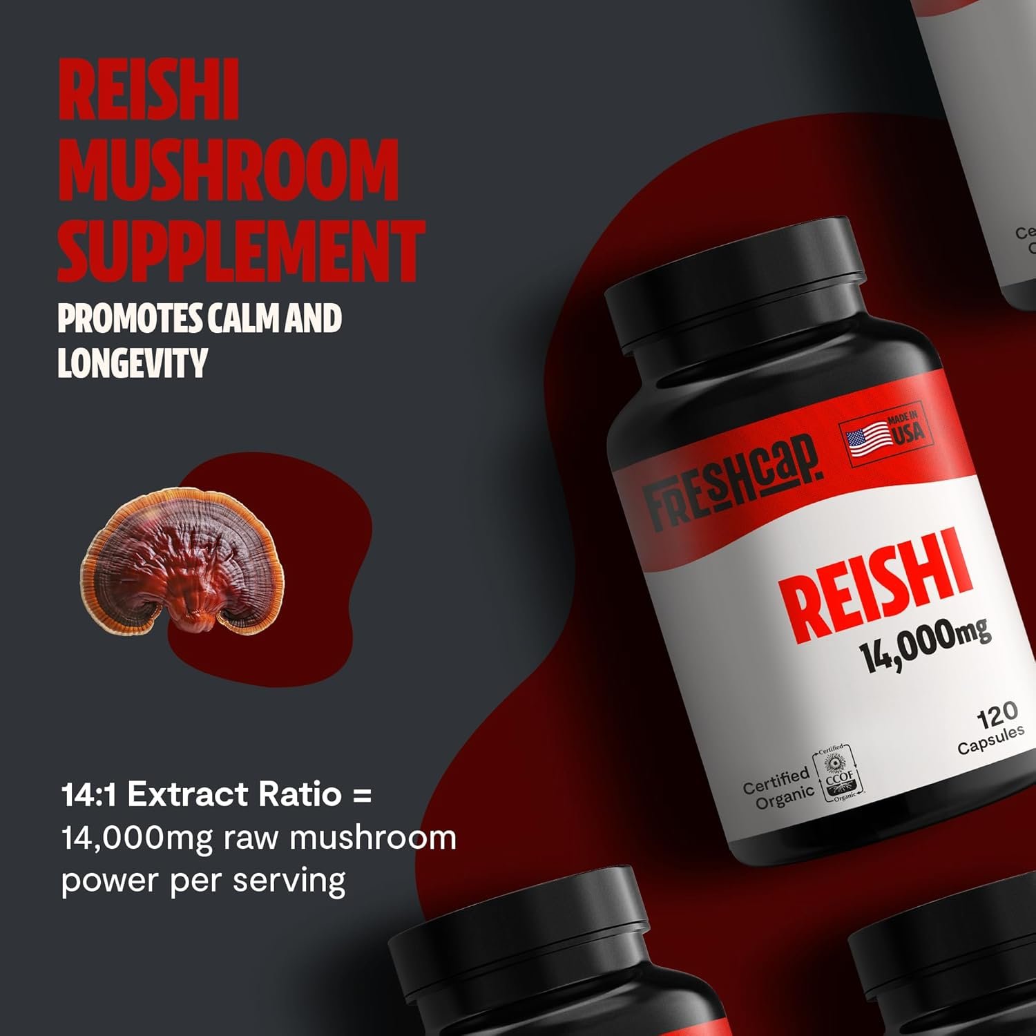 FreshCap 5-in-1 Energy Supplements, Energy Supplements for Women and Men, Energy Boosters for Fatigue, Energy Support, Cordyceps Extract, Ayurveda Cordyceps Mushroom Blend Capsules (120 Capsules)