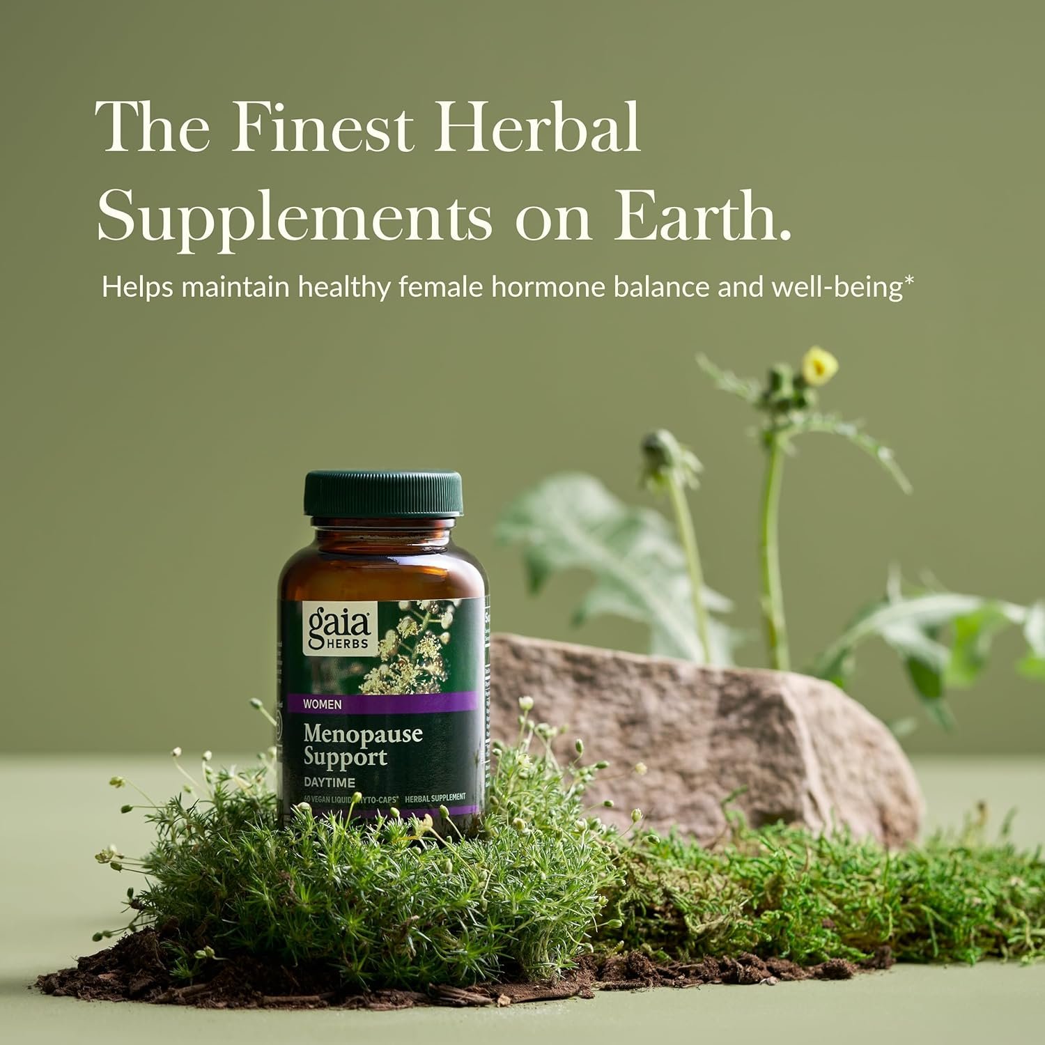 Gaia Herbs Menopause Support Daytime - Helps Maintain Hormone Balance and Well-Being for Women - with Vitex, Black Cohosh, St. John’s Wort, and Oats - 60 Vegan Liquid Phyto-Capsules (20-Day Supply)