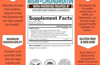 Glucosamine Chondroitin MSM Joint Support Review