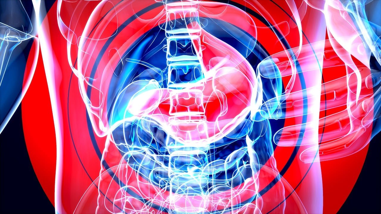 Healthy Gut Microbiome Diet