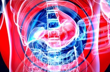 Healthy Gut Microbiome Diet