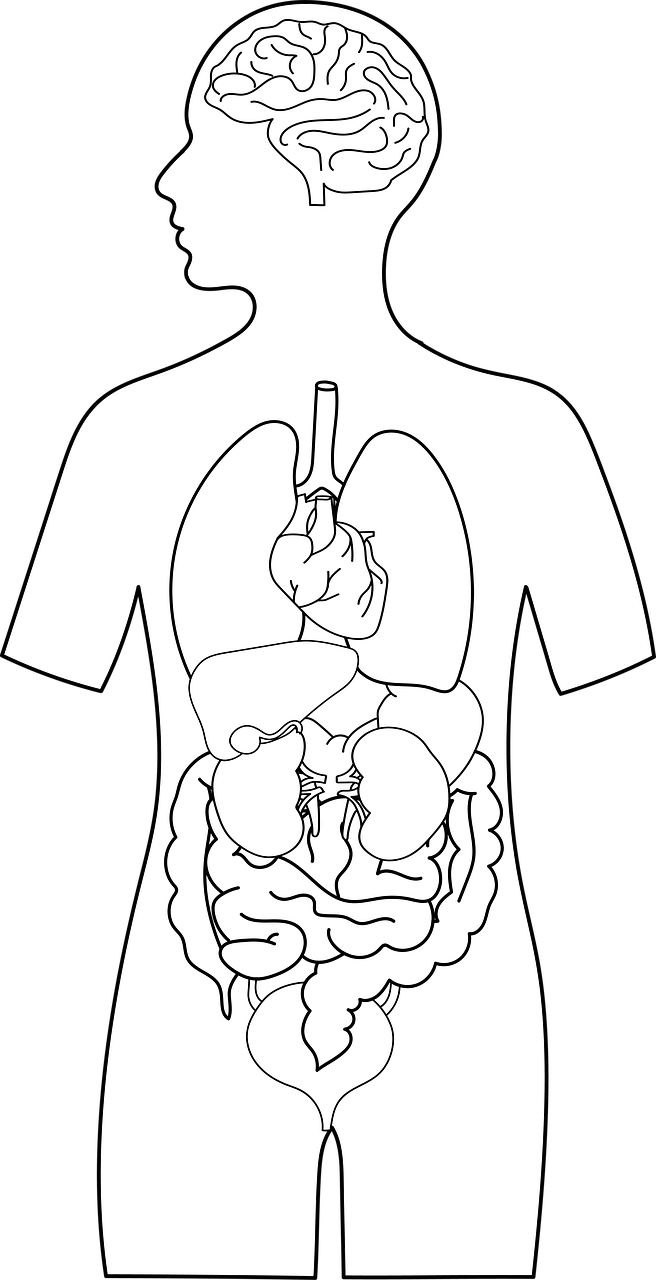 Healthy Gut Microbiome Diet