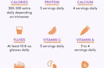 Healthy Pregnancy Diet