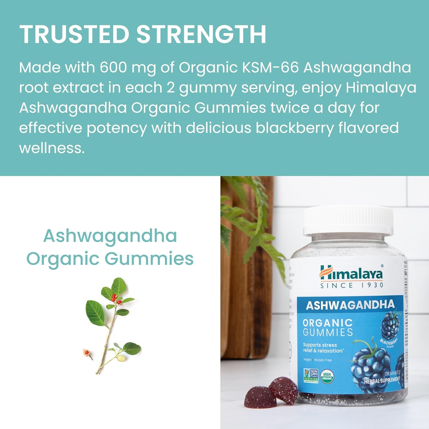 Himalaya Organic Ashwagandha, 120 Day Supply, Herbal Supplement for Stress Relief, Energy Support, Occasional Sleeplessness, USDA Organic, Non-GMO, Vegan, Gluten Free, 670 mg, 60 Caplets, 2 Pack