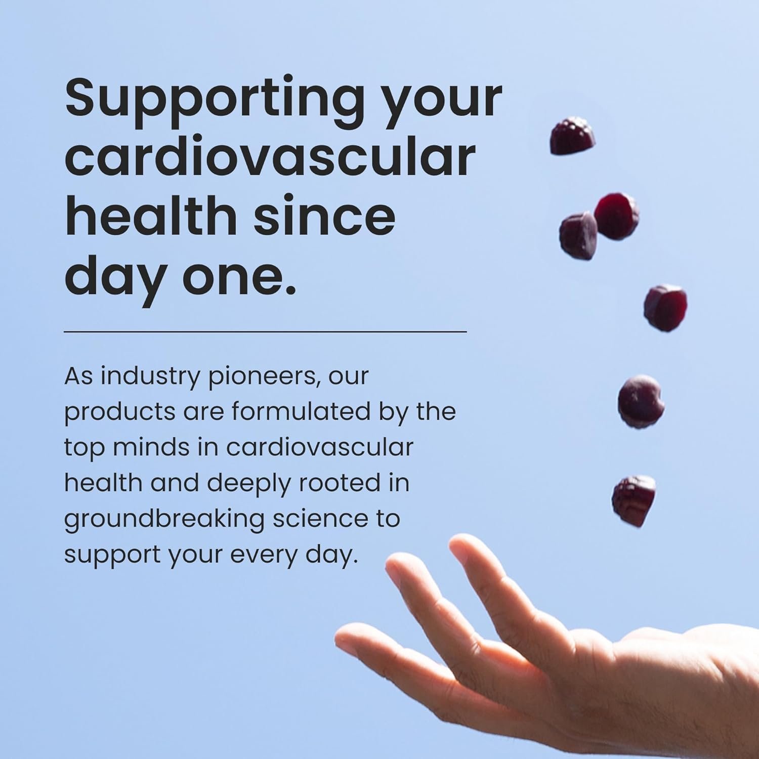 HumanN SuperBeets Heart Gummies - Beet Gummy with Energy Support, Grape Seed Extract Beetroot Powder, Sugar Free - Pomegranate Berry Flavor, 60 Count