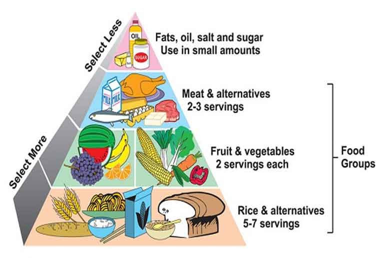 Improving Overall Health with a Balanced Diet