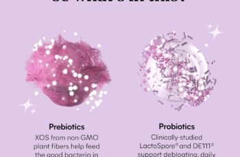 Lemme Debloat Review