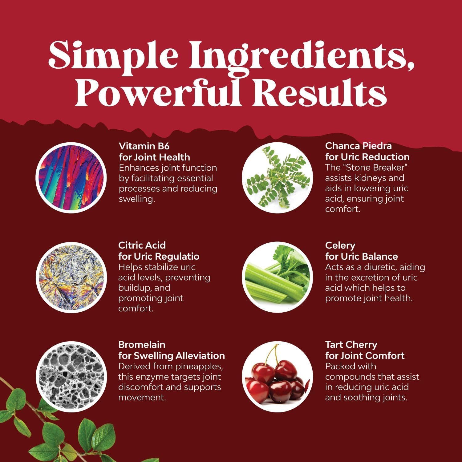 Natures Craft Bundle of Vegan Uric Acid Cleanse and Detox for Men and Womens Joints Kidneys and More and Turmeric Gummies for Adults Peach Flavor - Extra Strength Joint Support Gummies