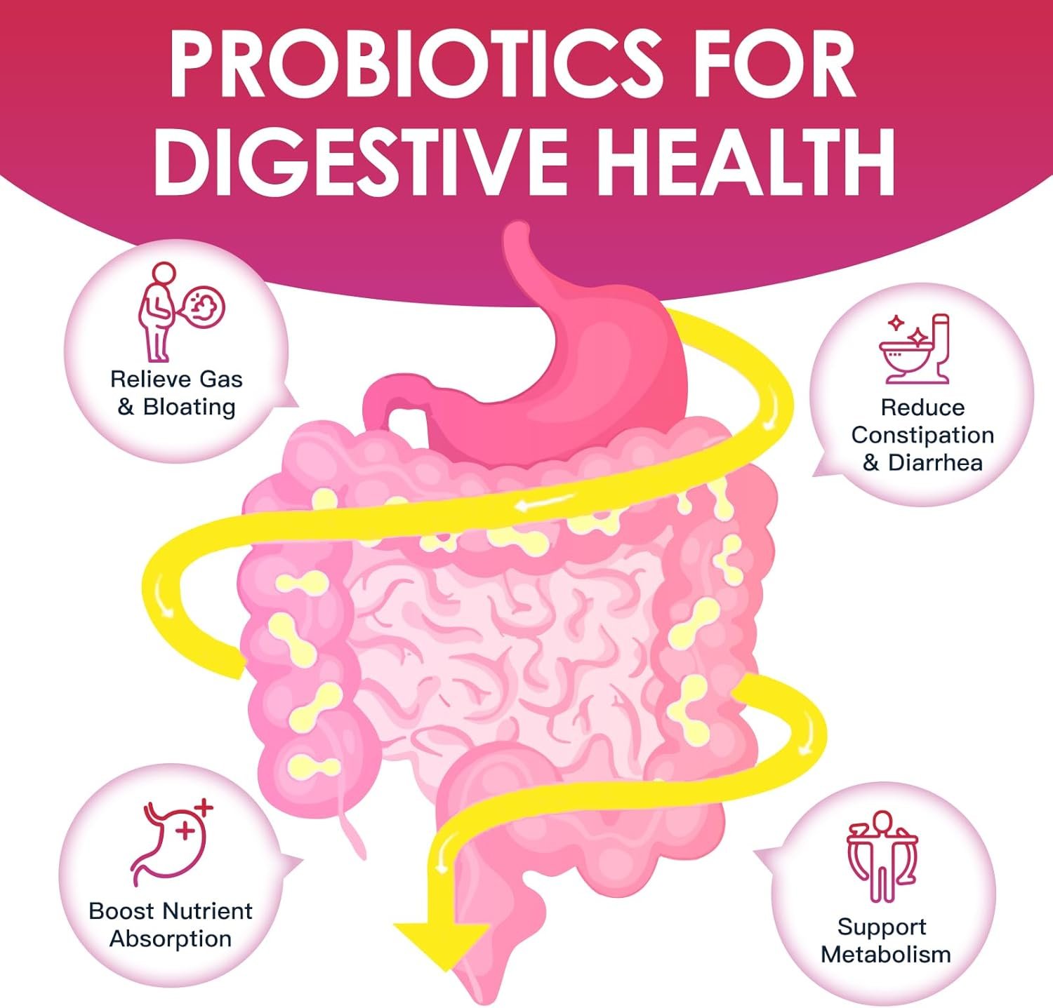 Probiotics for Women Digestive Health, Vaginal probiotics 120 Billion CFU 31 Strains with Digestive Enzymes Prebiotics D Mannose Cranberry for Urinary Tract, 90 Capsules