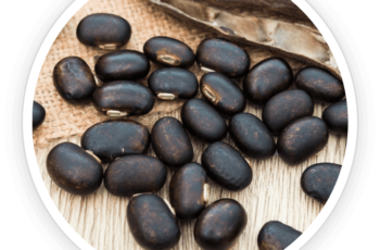 Quietum Plus Review