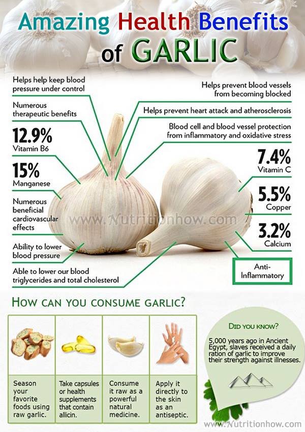 The Amazing Health Benefits of Garlic