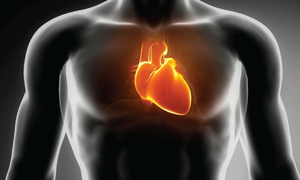 The Role of Minerals in Maintaining Heart Health